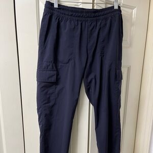 The North Face Dark Blue Cargo Pants